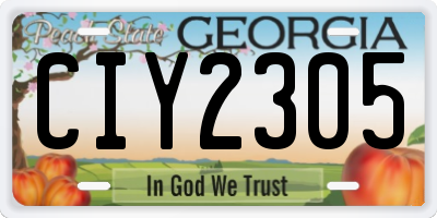 GA license plate CIY2305