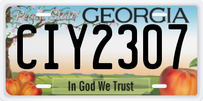 GA license plate CIY2307
