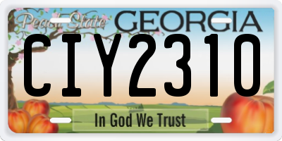 GA license plate CIY2310