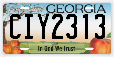 GA license plate CIY2313