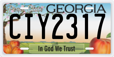 GA license plate CIY2317