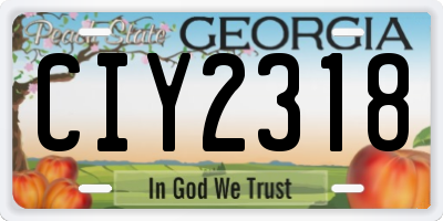 GA license plate CIY2318