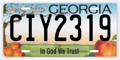 GA license plate CIY2319