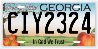 GA license plate CIY2324