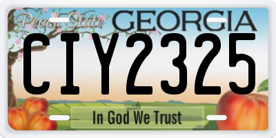 GA license plate CIY2325