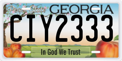 GA license plate CIY2333
