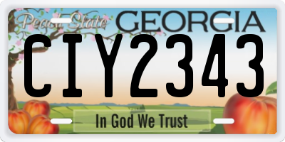 GA license plate CIY2343