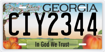 GA license plate CIY2344