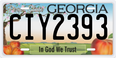 GA license plate CIY2393