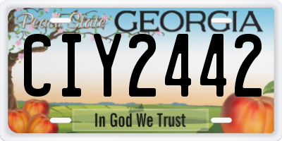 GA license plate CIY2442