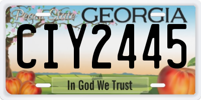 GA license plate CIY2445