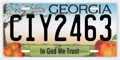 GA license plate CIY2463