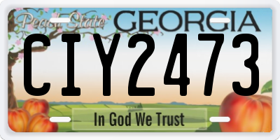GA license plate CIY2473