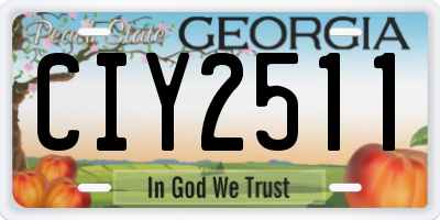 GA license plate CIY2511