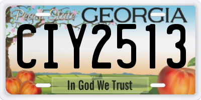GA license plate CIY2513