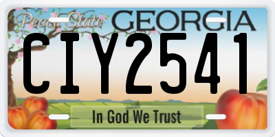 GA license plate CIY2541