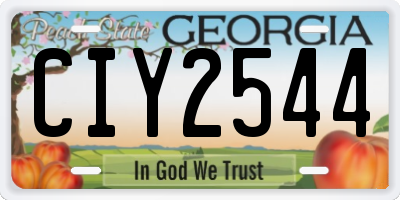 GA license plate CIY2544
