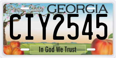 GA license plate CIY2545