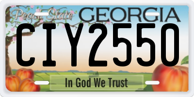 GA license plate CIY2550