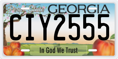 GA license plate CIY2555