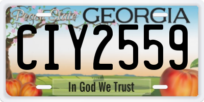 GA license plate CIY2559