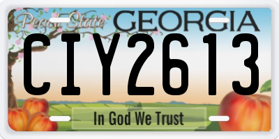 GA license plate CIY2613