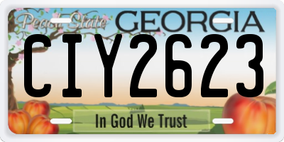 GA license plate CIY2623