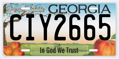 GA license plate CIY2665