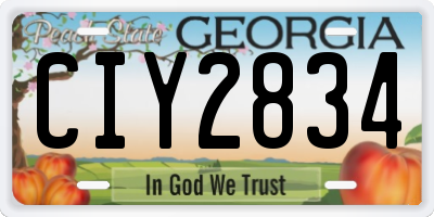 GA license plate CIY2834