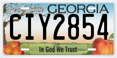 GA license plate CIY2854