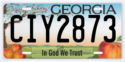 GA license plate CIY2873