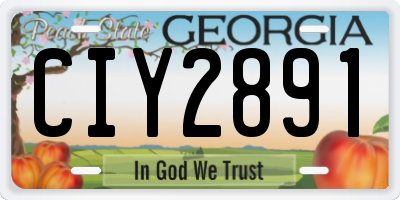 GA license plate CIY2891