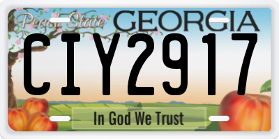 GA license plate CIY2917