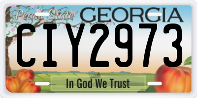 GA license plate CIY2973