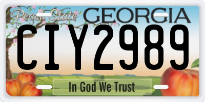 GA license plate CIY2989