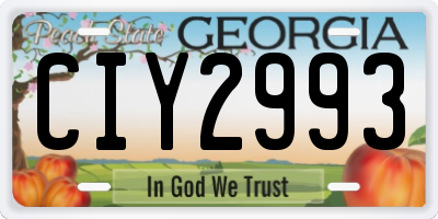 GA license plate CIY2993