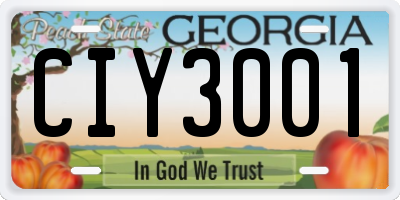 GA license plate CIY3001