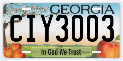 GA license plate CIY3003