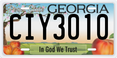 GA license plate CIY3010