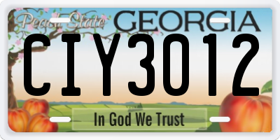GA license plate CIY3012
