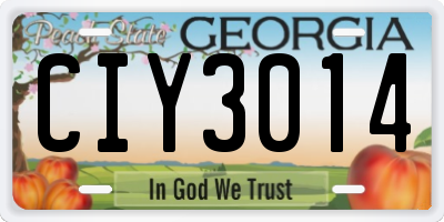 GA license plate CIY3014