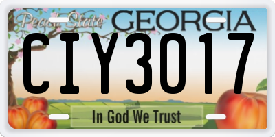 GA license plate CIY3017