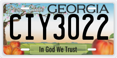 GA license plate CIY3022