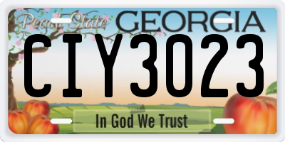 GA license plate CIY3023