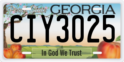 GA license plate CIY3025