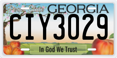GA license plate CIY3029