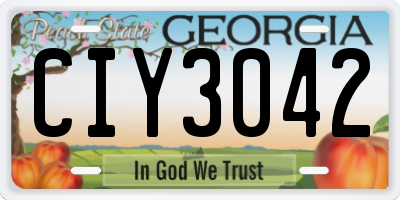 GA license plate CIY3042