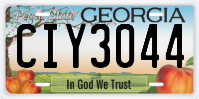 GA license plate CIY3044