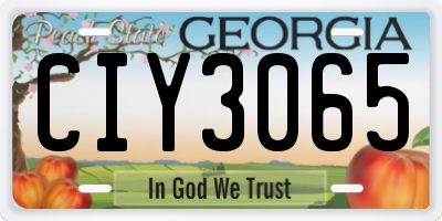 GA license plate CIY3065