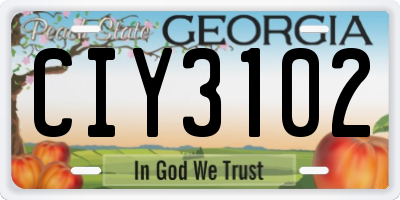 GA license plate CIY3102
